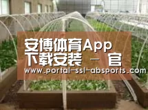 环境展示五