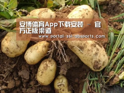 种植基地六