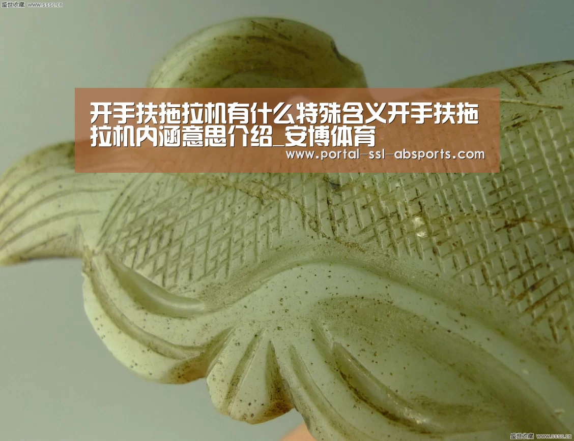 开手扶拖拉机有什么特殊含义开手扶拖拉机内涵意思介绍_安博体育(图2) 安博体育