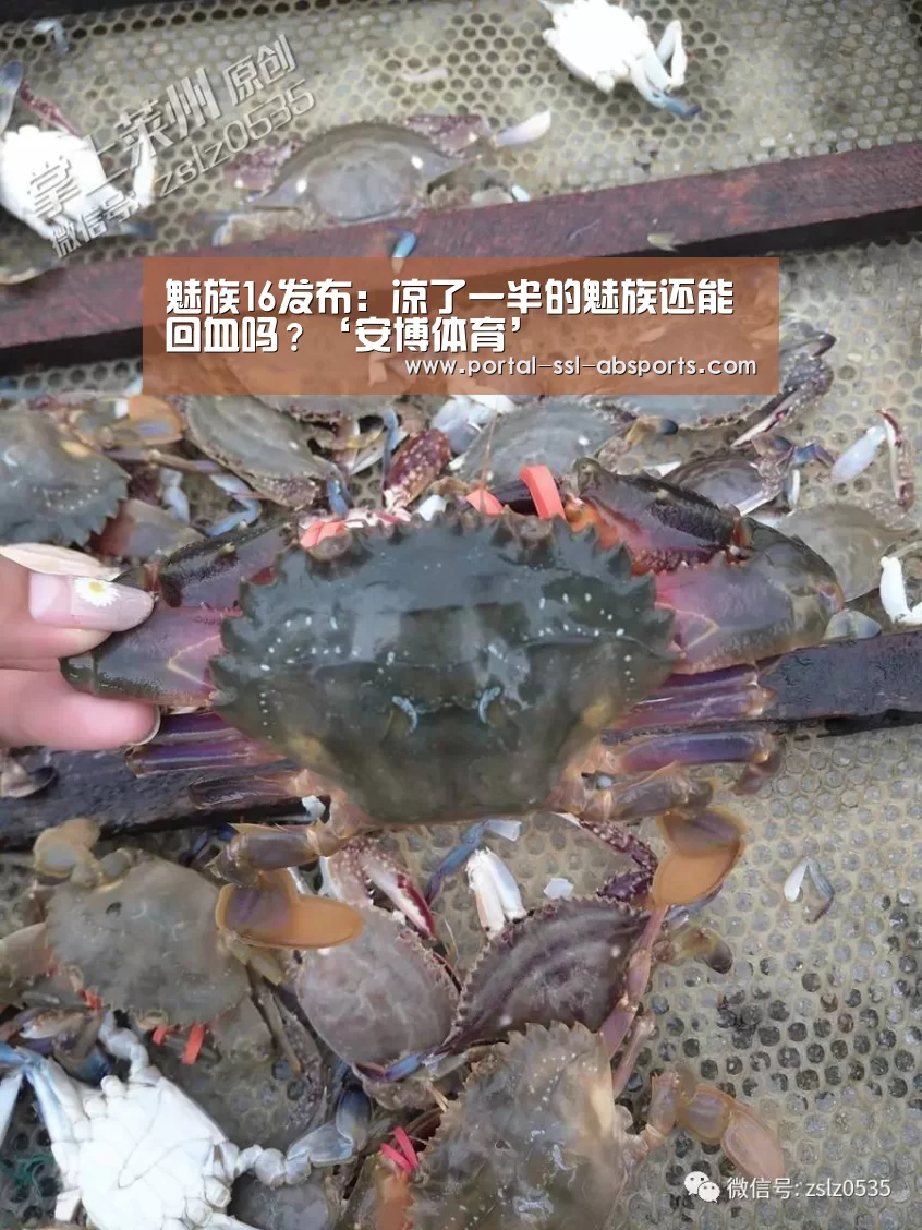 安博体育