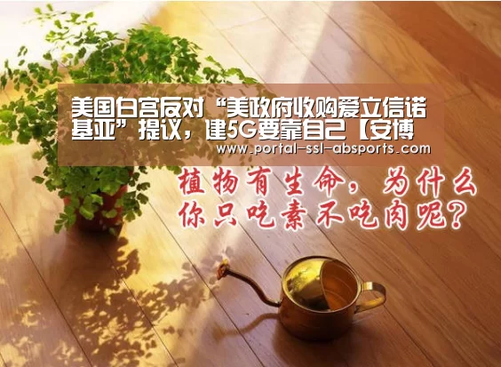 美国白宫反对“美政府收购爱立信诺基亚”提议,建5G要靠自己【安博体育】(图1) 安博体育